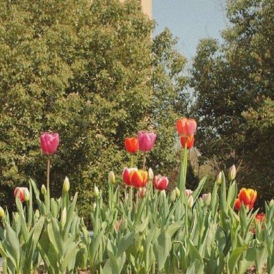 百人牛牛游戏软件截图